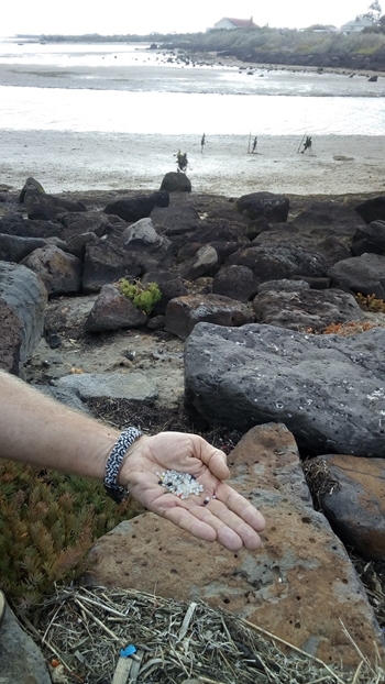 Tangaroa Blue Foundation pellets collected in coastal beach zones